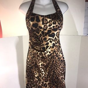 Cache Leopard Dress size 6
